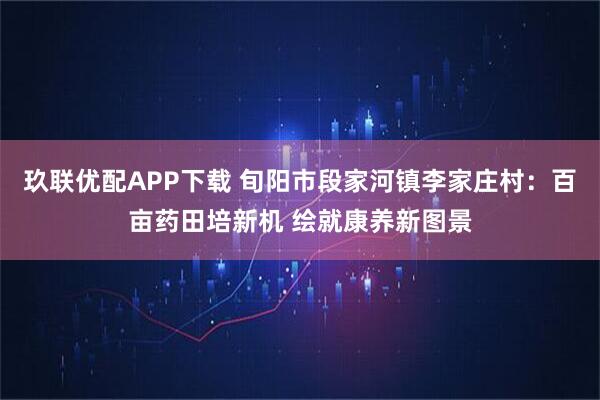 玖联优配APP下载 旬阳市段家河镇李家庄村：百亩药田培新机 绘就康养新图景