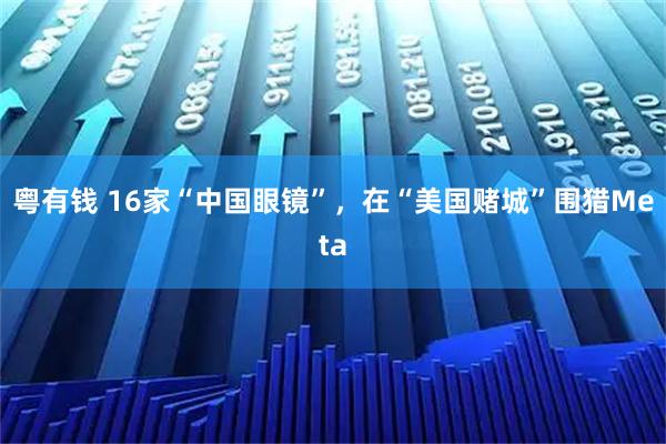 粤有钱 16家“中国眼镜”，在“美国赌城”围猎Meta